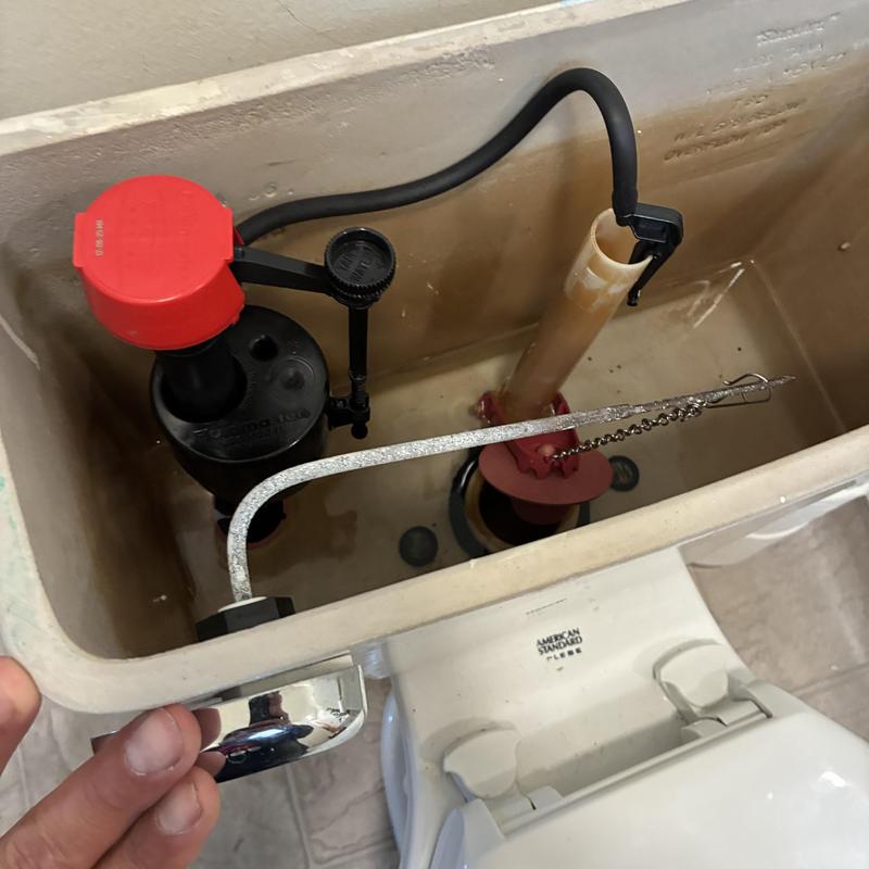 Toilet tank handle, flapper, fill valve, and supply line replacement