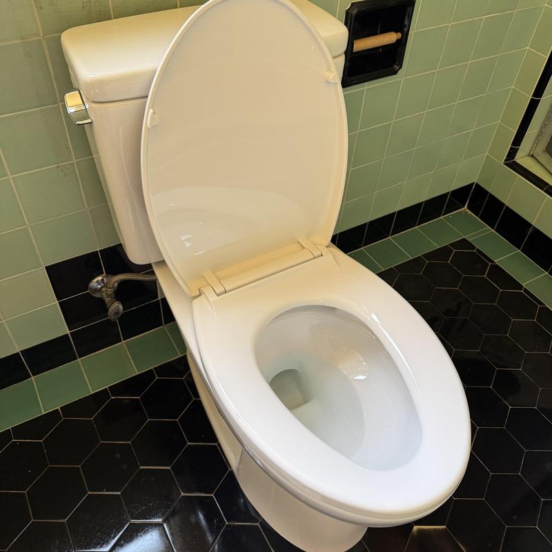 Elongated toilet installed with wax ring and bolts