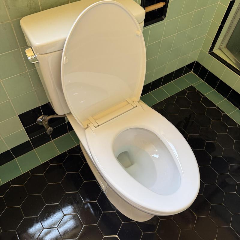 Elongated toilet with seat and lid upstairs bathroom