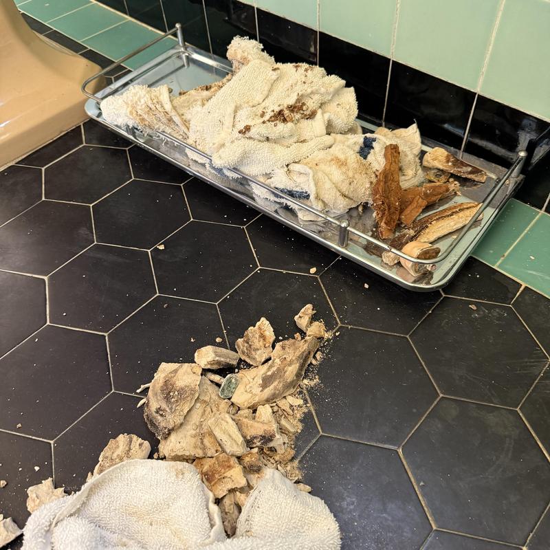 Toilet floor tile debris and cleaning cloths