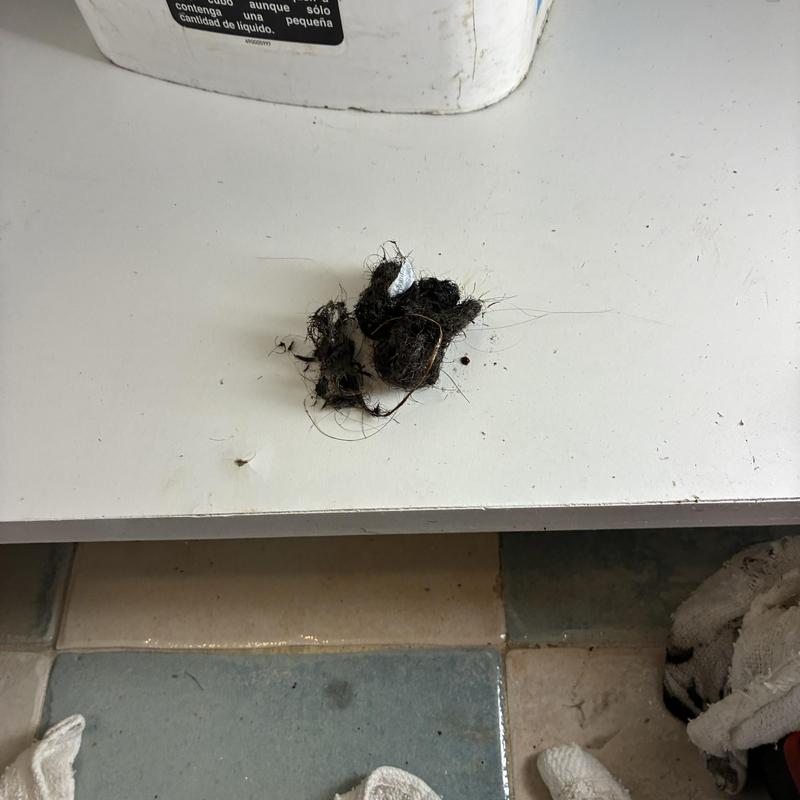 Basin drain clog debris removed during plumbing service