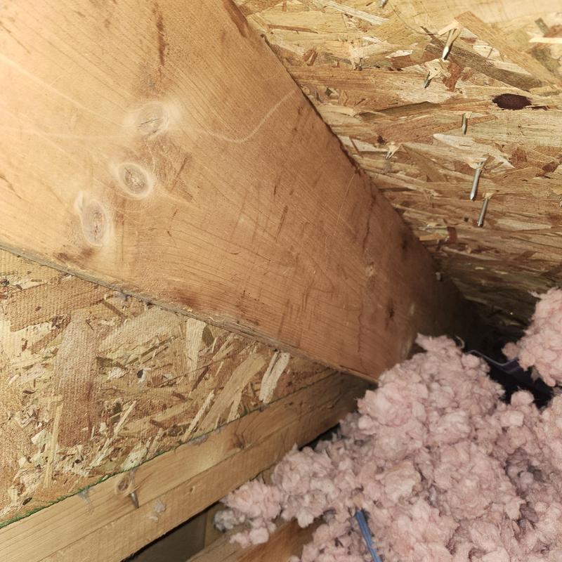 Attic insulation and wooden roof framing close-up