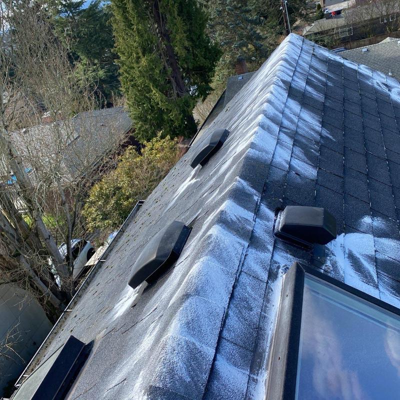 Roof shingles with targeted moss treatment and cleaning