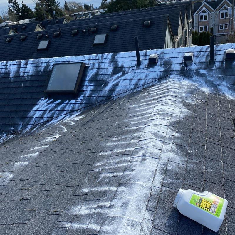Roof shingle moss treatment application with cleaning product