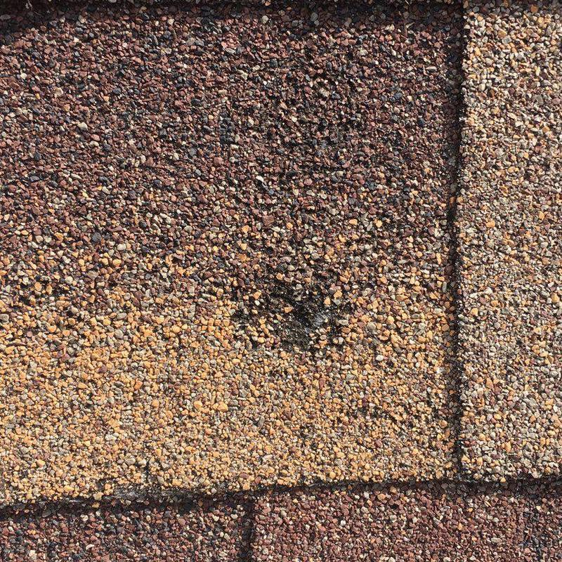 Asphalt roof shingle with black spot damage close-up Asphalt roof shingle with black spot damage close-up