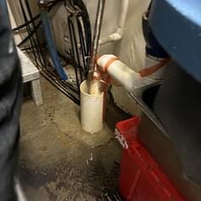 Branch main drain clearing servicing water softener and urinals