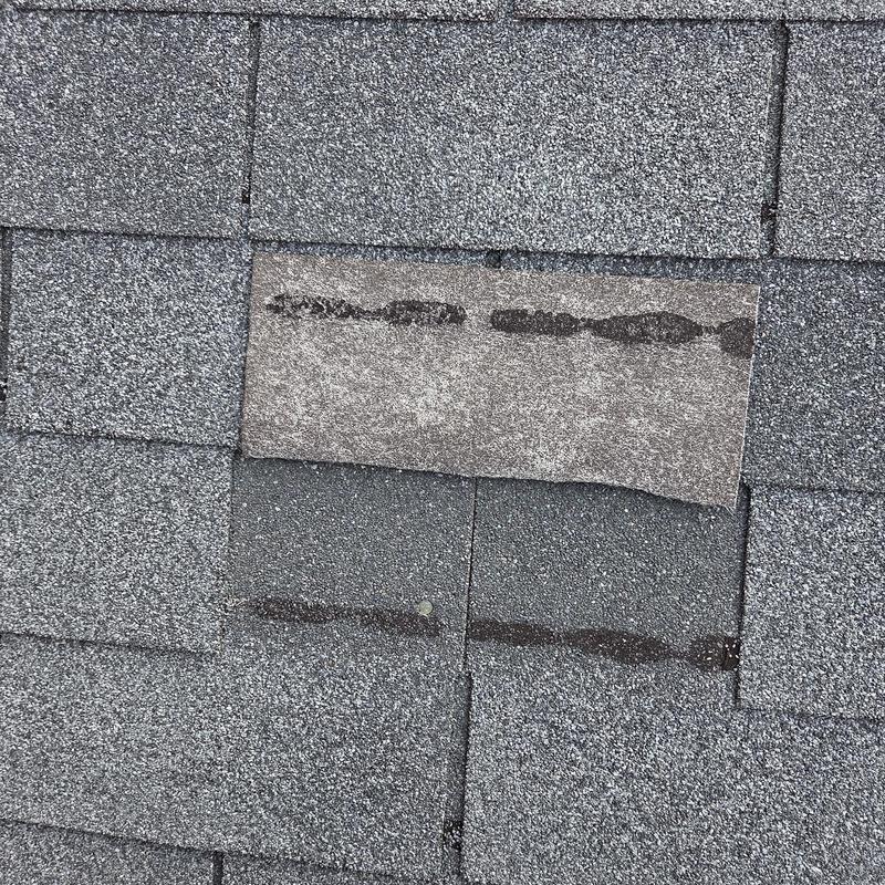 Roof shingles with replaced damaged shingle section
