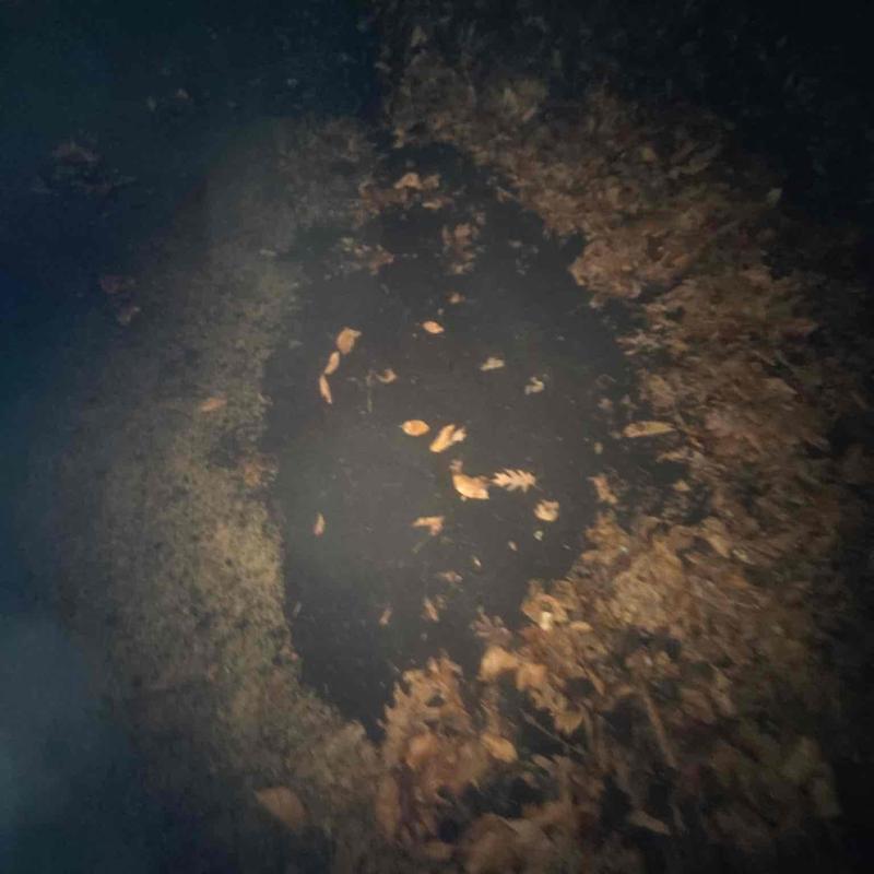 Underground excavation site with exposed soil and leaves Underground excavation site with exposed soil and leaves