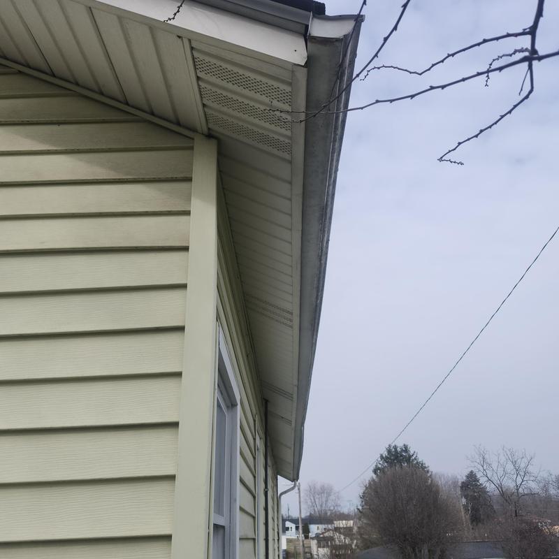 Gutter and facial metal on yellow siding exterior