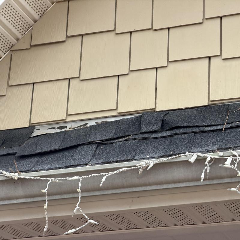 Charcoal roof shingles lifting above front door