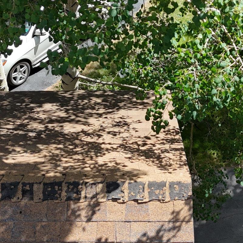 Asphalt shingle roof with damaged edges under tree shade Asphalt shingle roof with damaged edges under tree shade