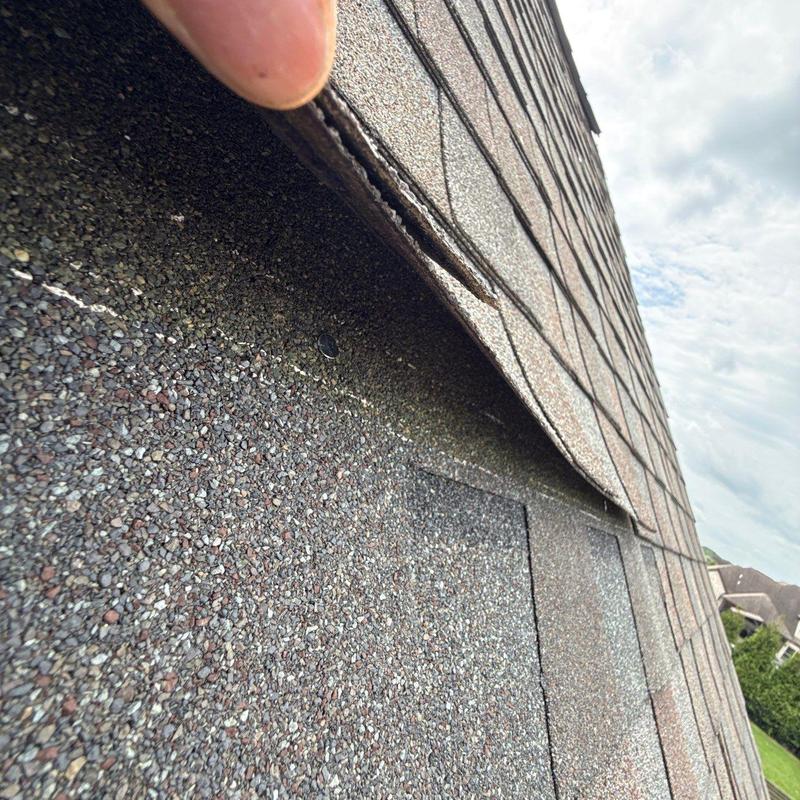 Asphalt shingles lifted showing hail damage and wear