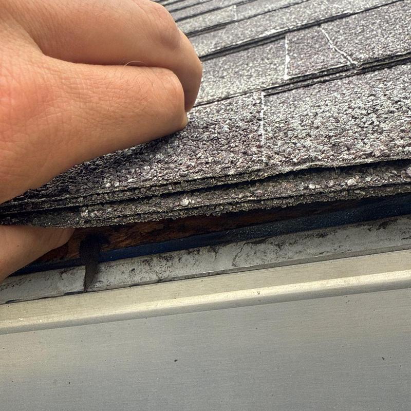 Asphalt shingle roof with hail damage and nail exposed