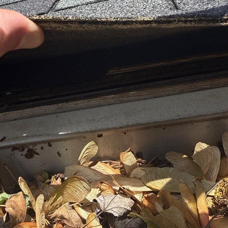 Roof gutter filled with dry leaves and debris