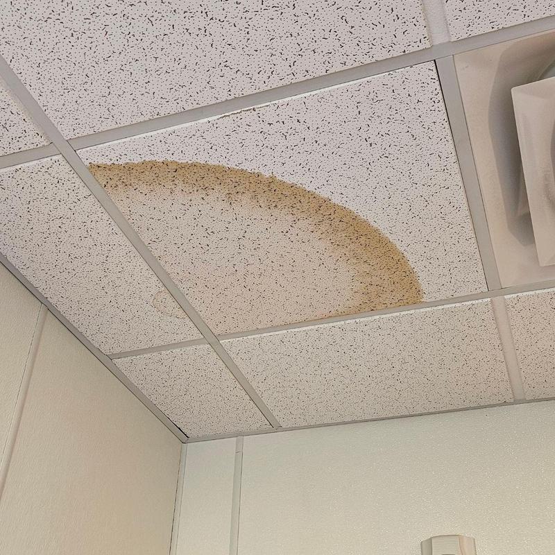 Ceiling tile with large water stain and ceiling grid Ceiling tile with large water stain and ceiling grid