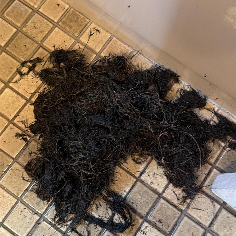 Main line roots removed from residential drain in Fairfield NJ