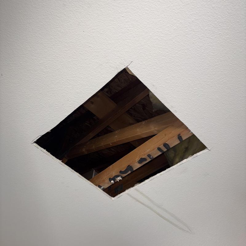 Roofing leak showing through cut ceiling drywall hole