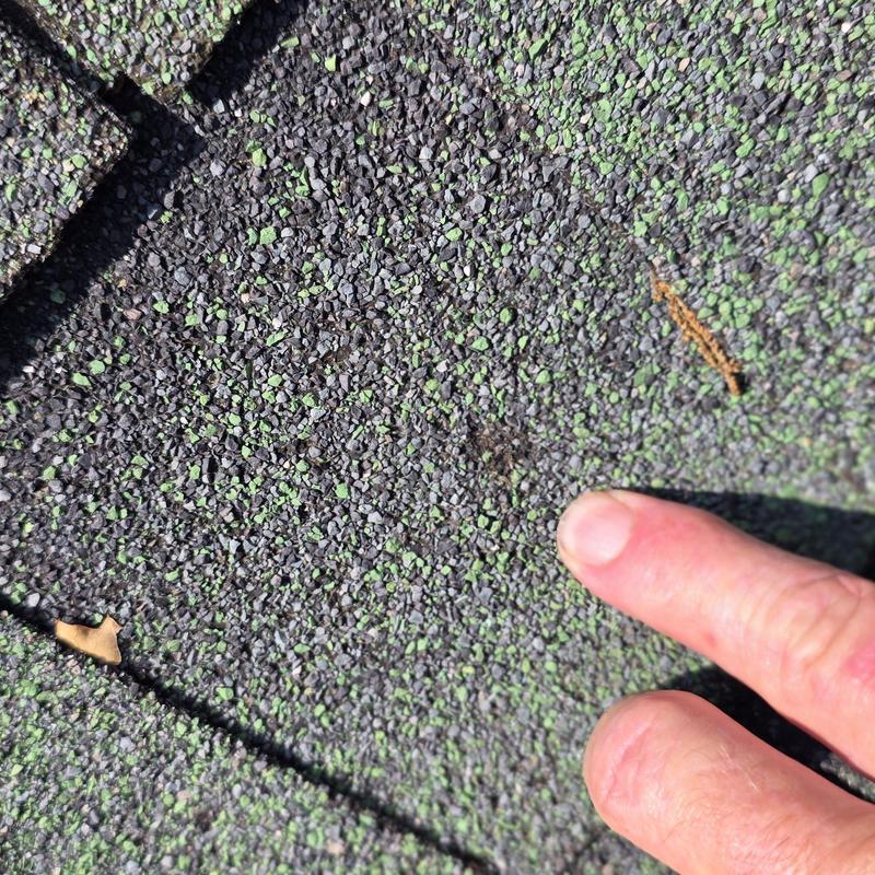 Asphalt shingle granule loss from hail damage close-up