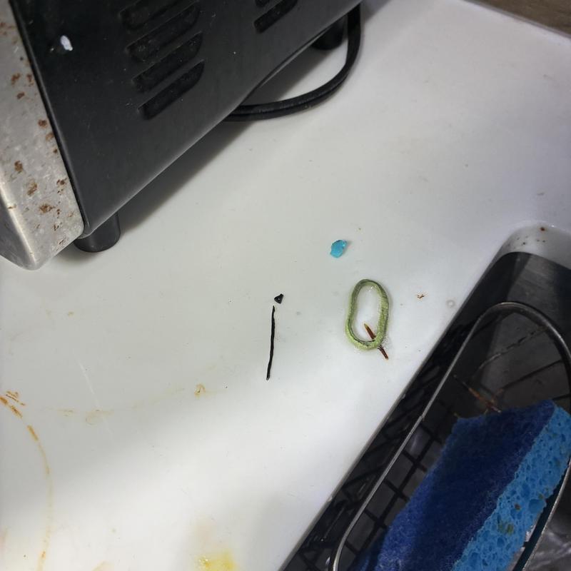 Garbage disposal debris removed on kitchen sink surface