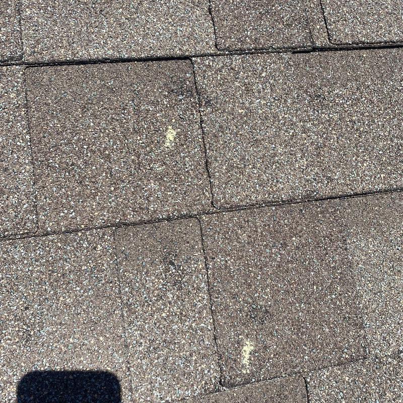 GAF Timberline HDZ roof shingles with hail damage marks