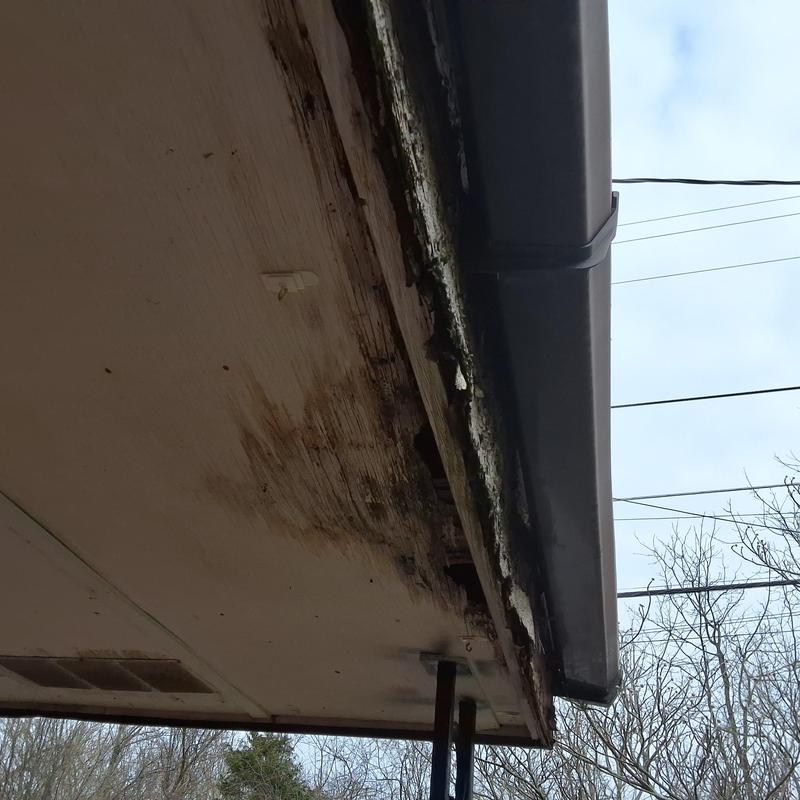 Roof soffit and fascia water damage near gutter system