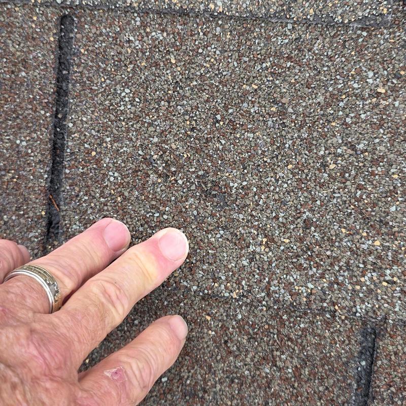 Asphalt shingle close-up showing hail damage and wear