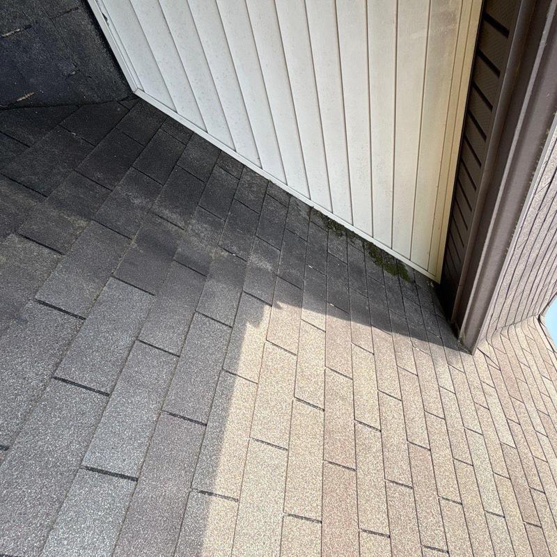 Asphalt roof shingles with hail damage and discoloration