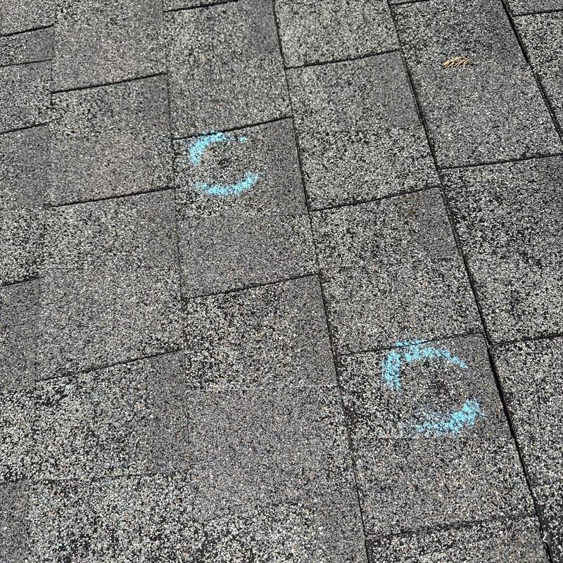 Asphalt shingle roof with blue hail damage markings