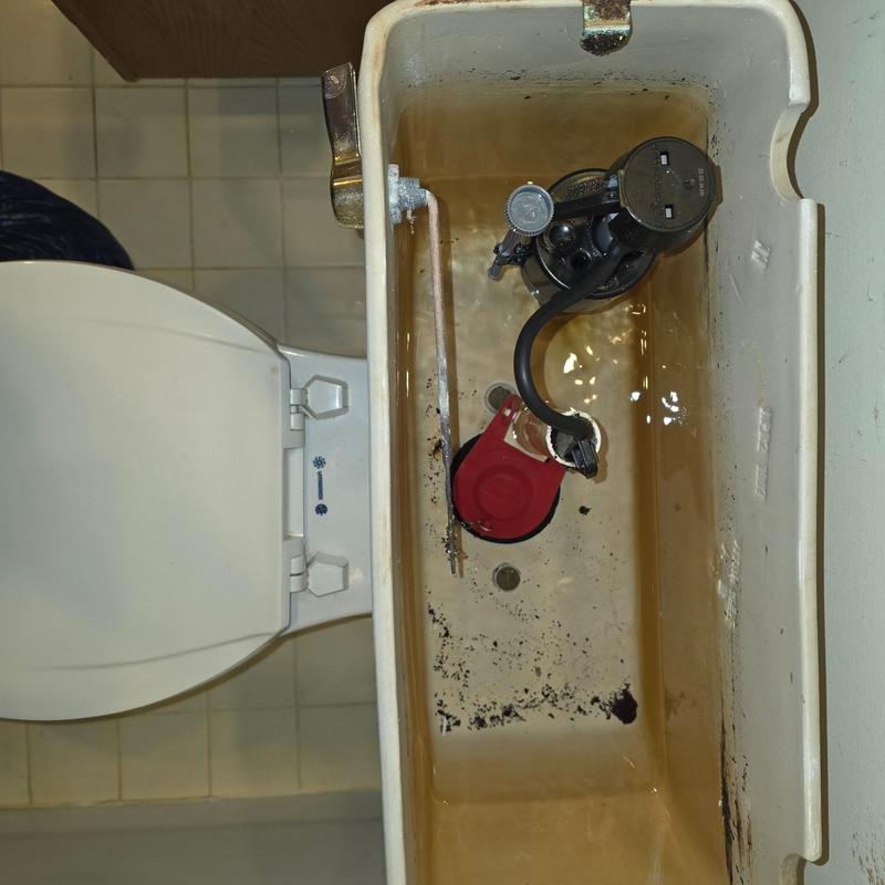 Toilet tank interior with flapper valve and fill valve