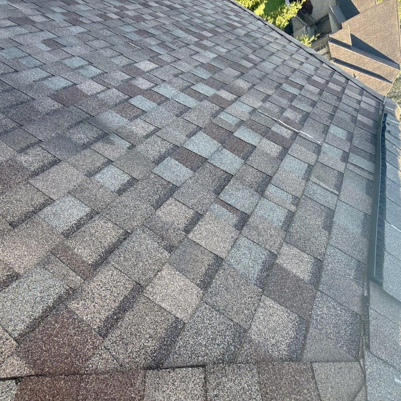 Asphalt shingle roof with visible hail damage and ridge vents