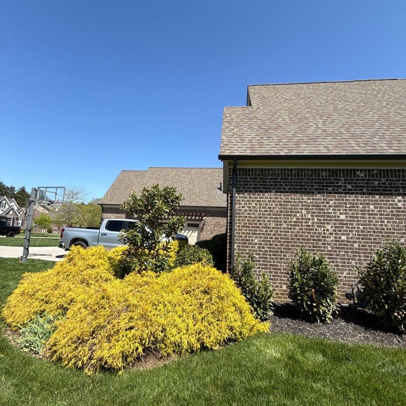Asphalt shingle roof with hail damage inspection
