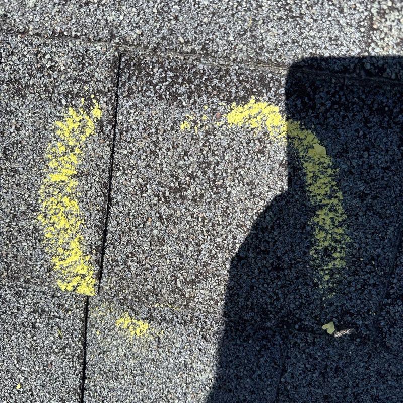 Roof shingles with yellow-marked hail damage