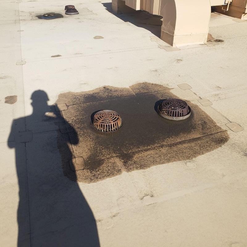 TPO flat roof with drain areas cleaned and inspected TPO flat roof with drain areas cleaned and inspected