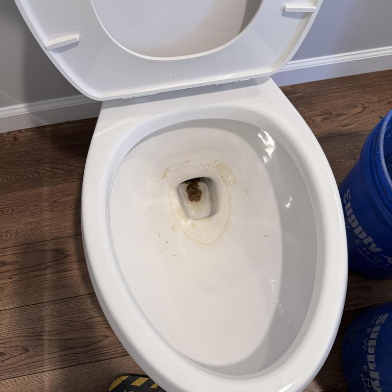 Toilet bowl with clogged trap and debris inside Toilet bowl with clogged trap and debris inside
