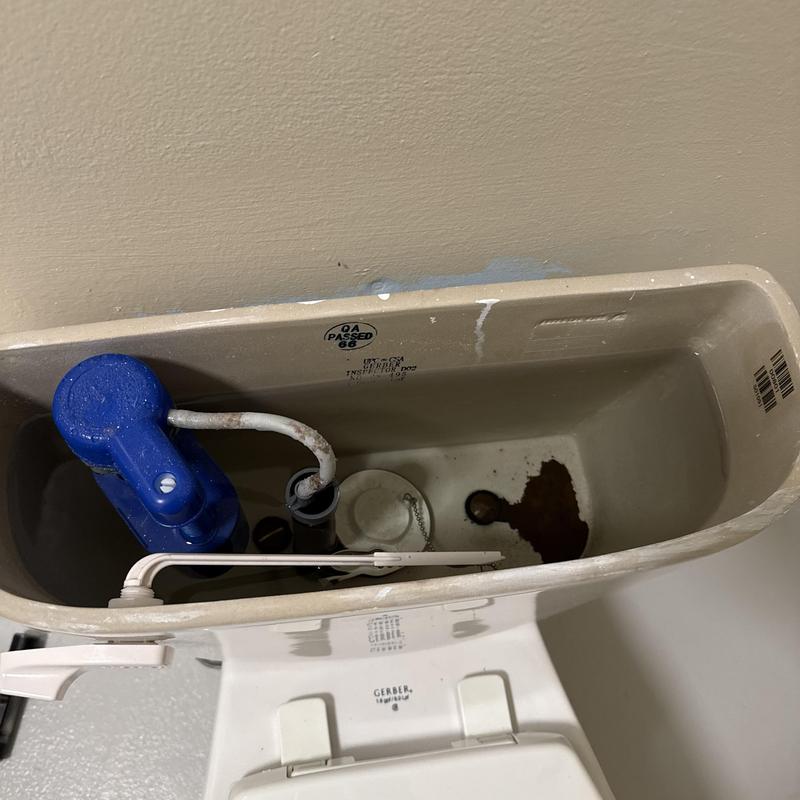 Toilet fill valve and internal tank components inspection