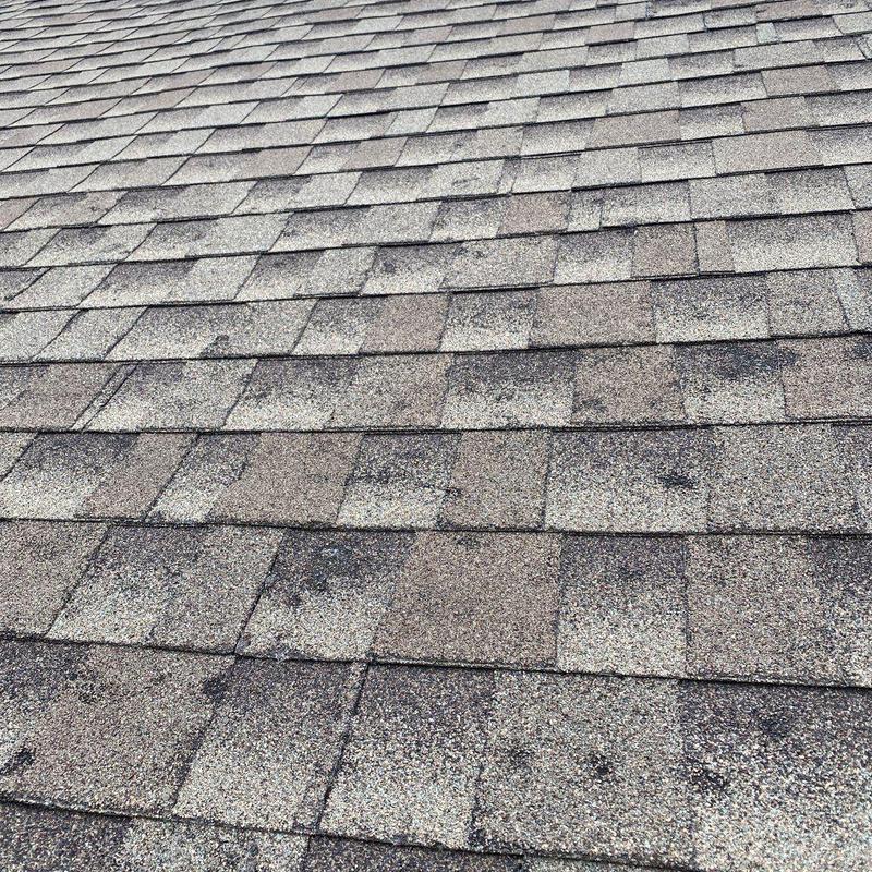 GAF Timberline HDZ charcoal shingles with hail damage GAF Timberline HDZ charcoal shingles with hail damage