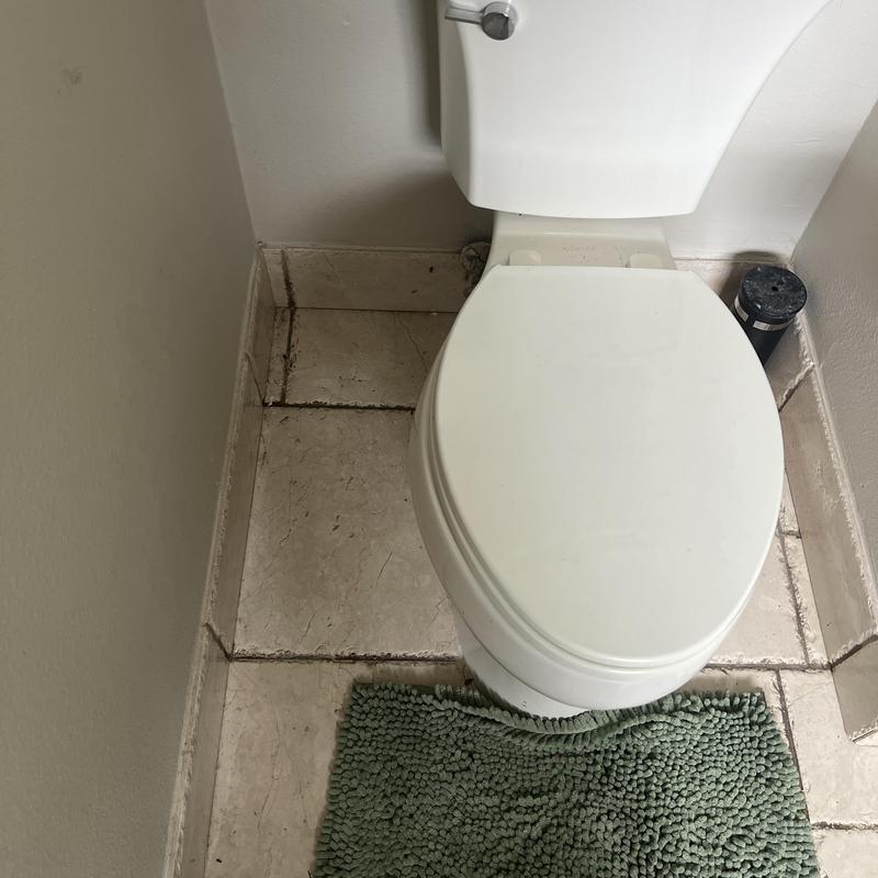 Toilet base area with tile grout and rug