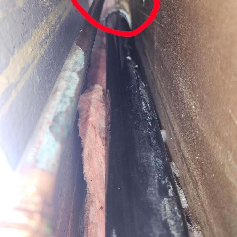 Hot water pipe leak in exterior wall cavity