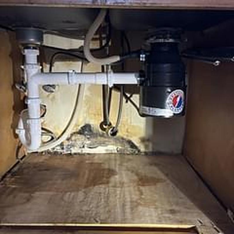 Disposer waste and P-trap plumbing under kitchen sink