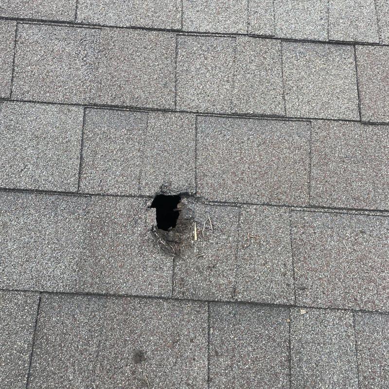 Asphalt shingle roof with storm damage hole
