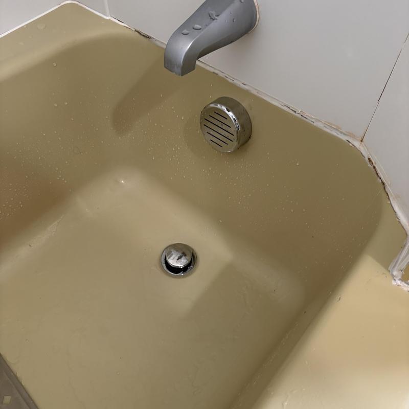 Bathtub drain and overflow with new PVC traps