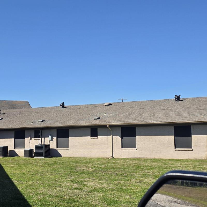 Asphalt shingle roof with hail damage in Terrell, TX