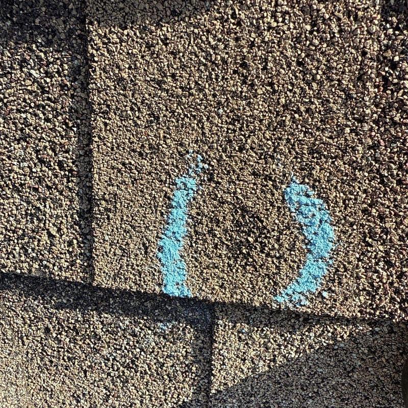 Asphalt shingle with hail damage marked in blue paint