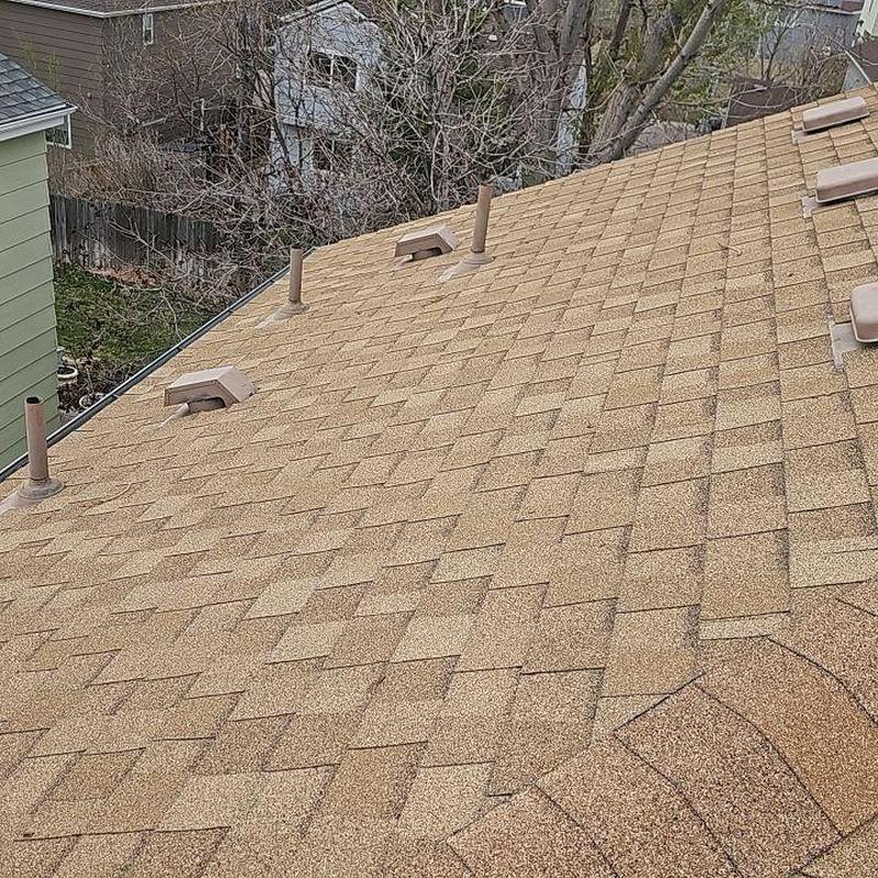 Asphalt shingle roof with vent pipes and no hail damage Asphalt shingle roof with vent pipes and no hail damage