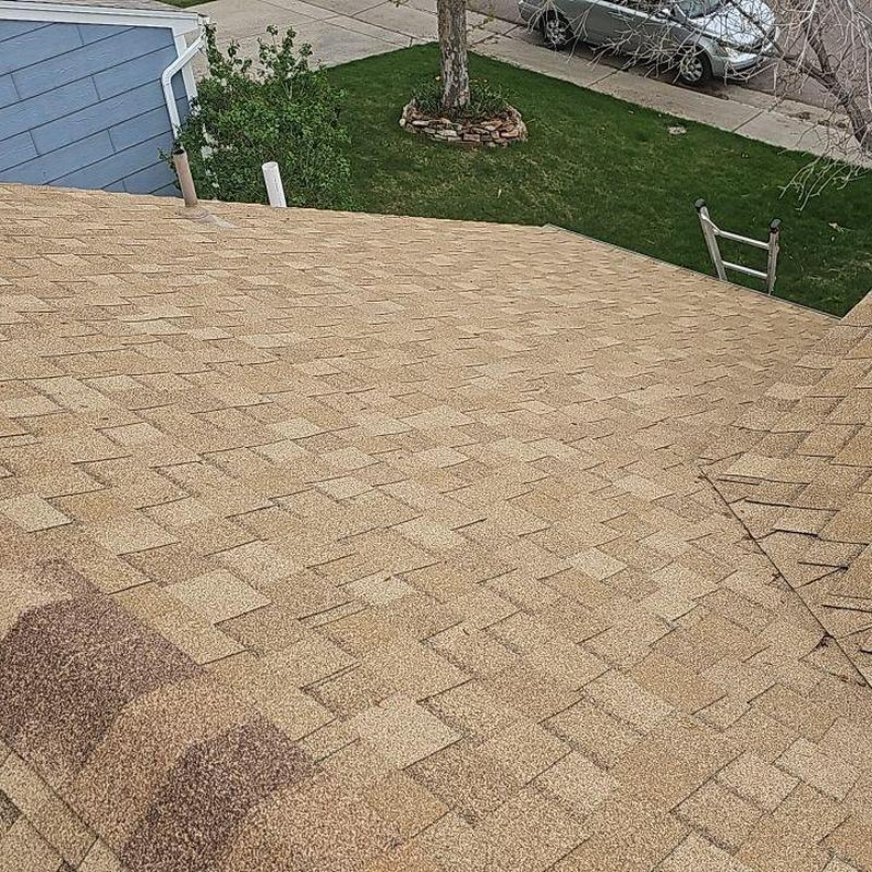 Asphalt shingle roof with no hail damage visible Asphalt shingle roof with no hail damage visible