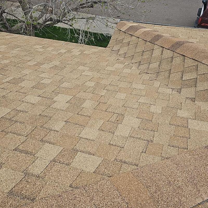 Asphalt shingle roof with no hail damage visible Asphalt shingle roof with no hail damage visible
