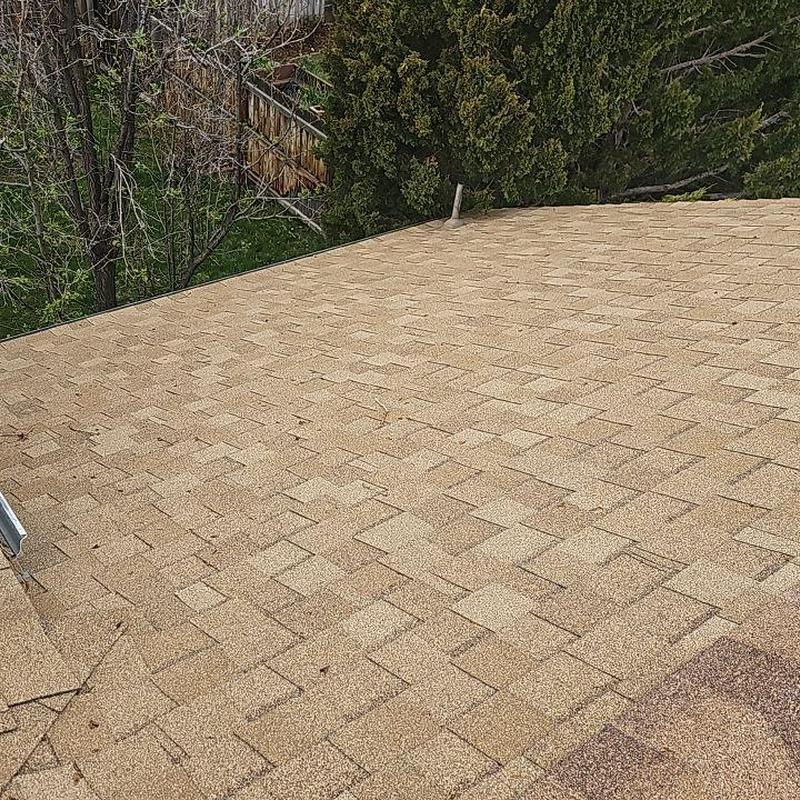 Asphalt shingle roof with no hail damage visible Asphalt shingle roof with no hail damage visible