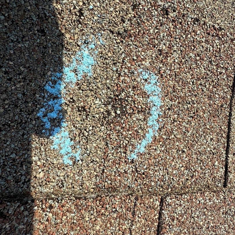 Asphalt shingles hail impact marked with blue chalk