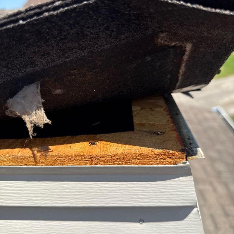 Roof shingle underlayment edge with exposed wood decking