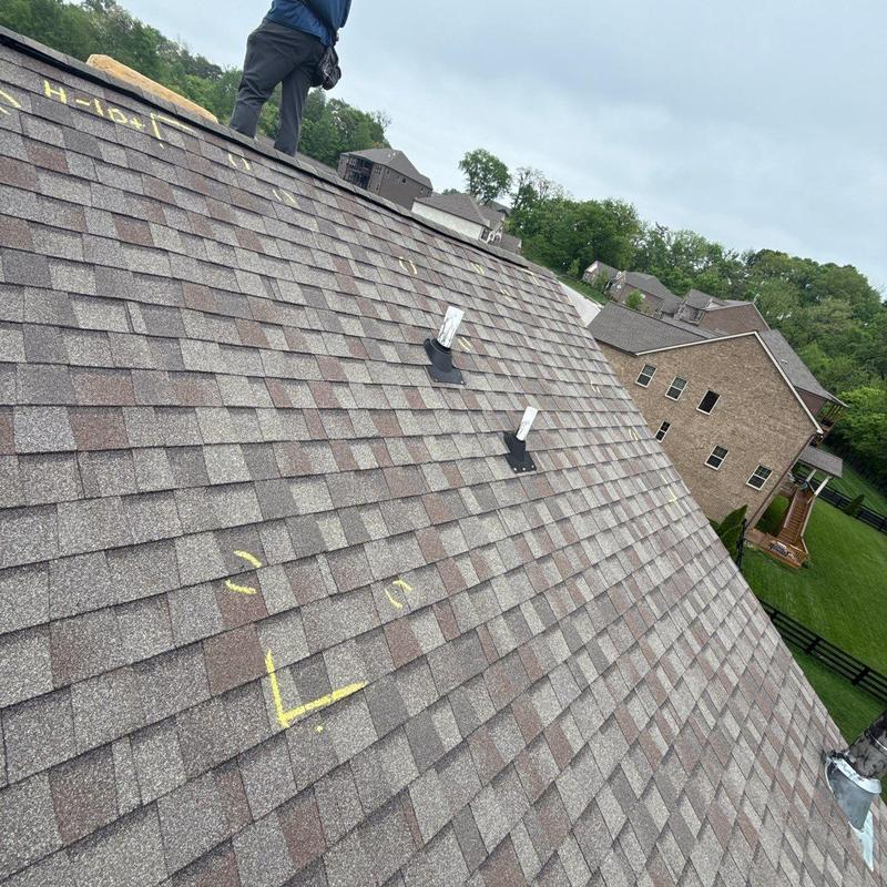 Asphalt roof shingles with hail damage markings